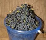 Виноградная выжимка и ее использование