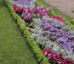 تخت گل در طراحی منظر باغ - ایجاد یک باغ گل زیبا در کلبه تابستانی شما