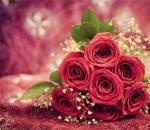 Значение и толкование цвета роз