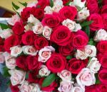 Что означают желтые, розовые, белые, красные, бордовые, кремовые, оранжевые, коралловые, бело-розовые, смешанные розы, 1, 3, 5, 7, 9, 25 роз в подарок