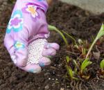 Borova kislina: uporaba v vrtnarstvu